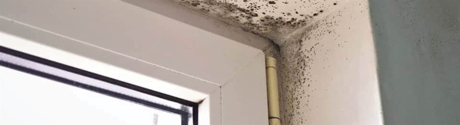 Condensation - help and guidance for homeowners - PCA