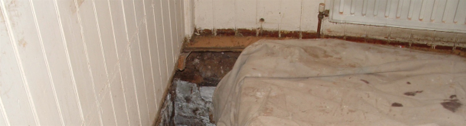 Barrier Property Care – Barrier Property Care cover the whole of Merseyside  and specialise in damp proofing, dry rot, wet rot, penetrating damp and can  assess your home for free.