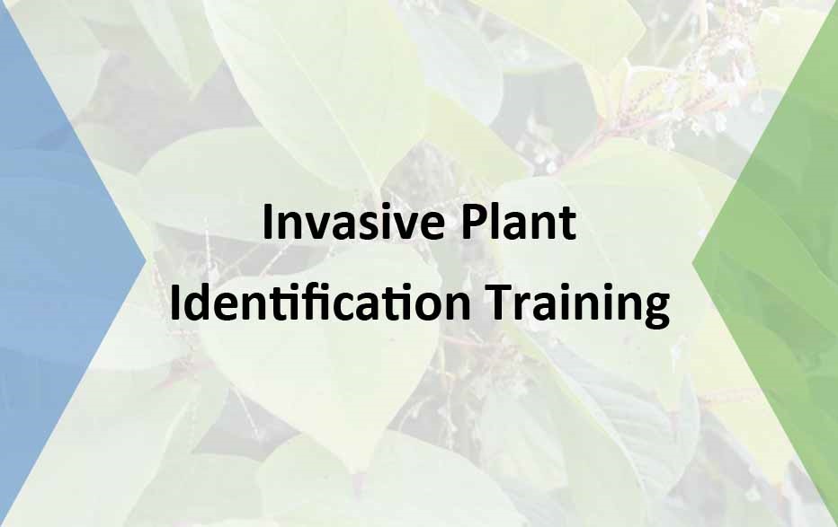 Invasive Plant Identification Course 